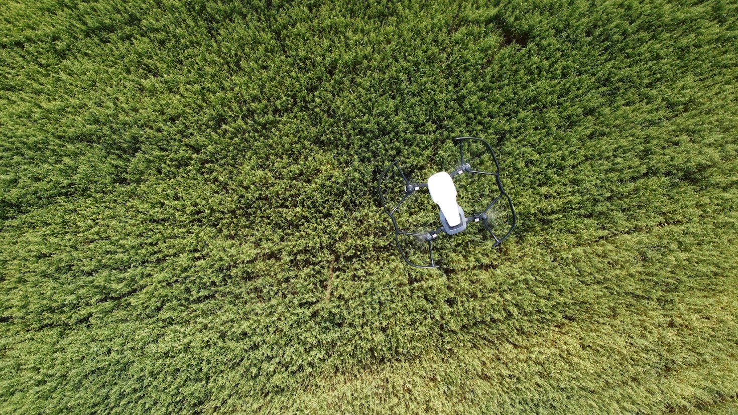 Como a inteligência de dados transforma o campo